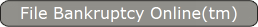 File Bankruptcy Online(tm)