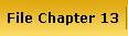 File Chapter 13